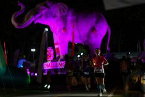 BIB: 
                            <button type="button" onclick="openModal(26530644)" class="btn btn-primary btn-sm float-right btn-popup" data-toggle="modal" data-target=".modal-high-quality">
                        <i class="fas fa-shopping-cart"></i> Add to Cart
                    </button>
                                            <button type="button" onclick="isThisMe(26530644, true)" class="btn btn-success btn-sm float-right btn-popup btn-isme hidden" data-toggle="tooltip" data-placement="bottom" title="นี่คือรูปของคุณใช่ไหม คลิกที่นี่เพื่อเอาเข้าอัลบั้ม">
                        <i class="fas fa-plus"></i> Add to album
                    </button>
                    <button type="button" onclick="isThisMe(26530644, false)" class="btn btn-warning btn-sm float-right btn-popup btn-isnotme hidden">
                        <i class="fas fa-ban"></i> Remove from album
                    </button>